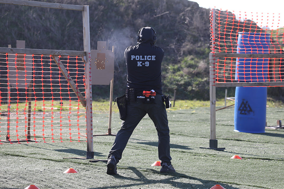 Competitive Pistol 2